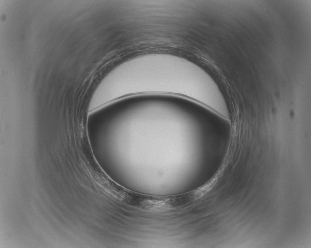 X0000054390170200507290815