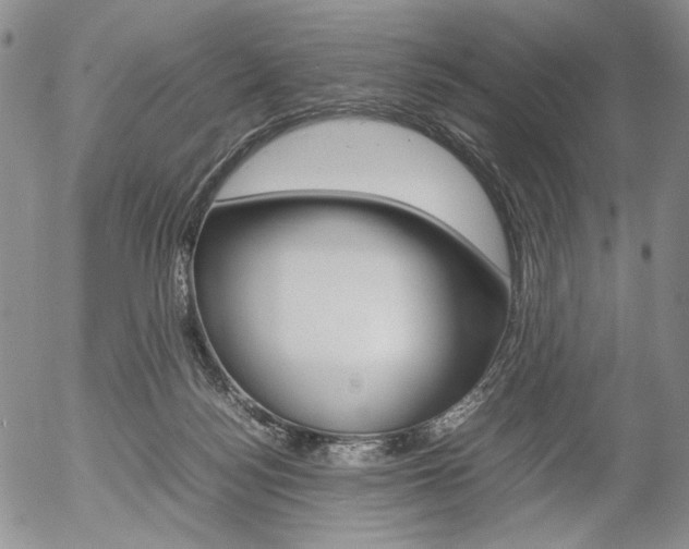 X0000054390172200507290815