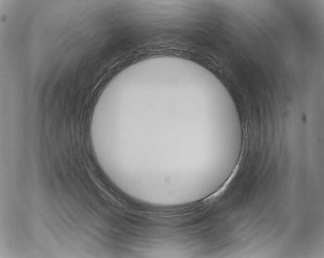 X0000054390174200507290815