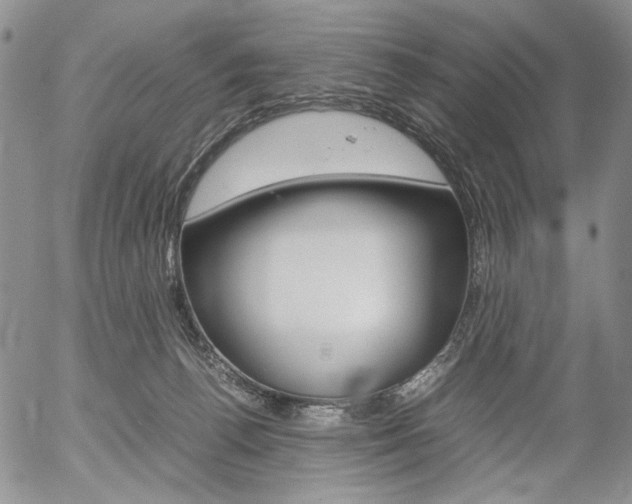 X0000054390176200507290815