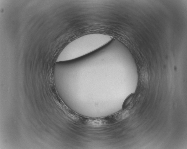 X0000054390181200507290815