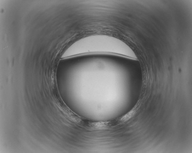 X0000054390184200507290815