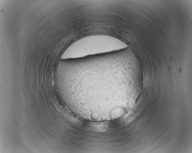 X0000054390187200507290815