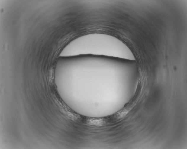 X0000054390189200507290815