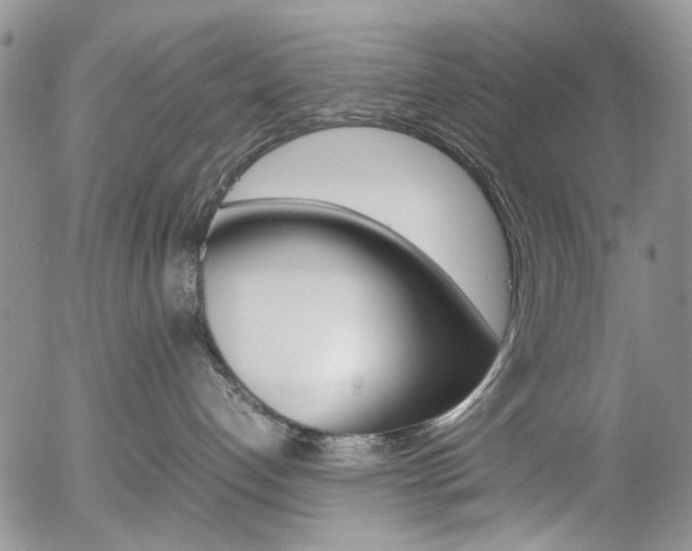 X0000054390192200507290816