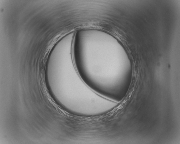 X0000054390193200507290815
