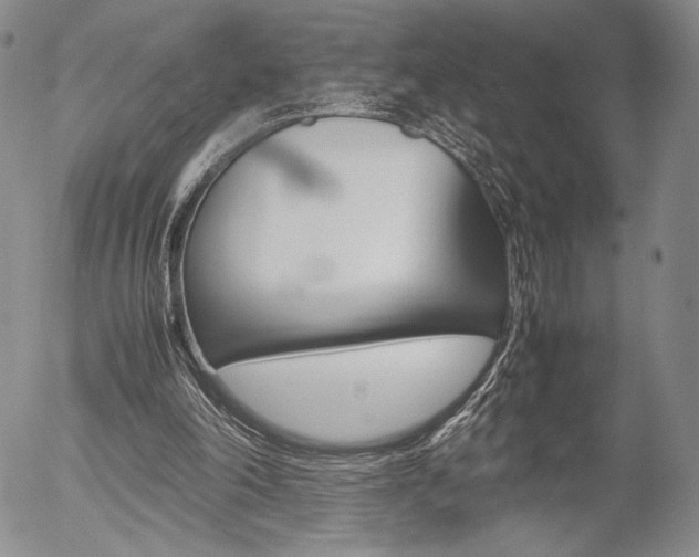 X0000054390198200507290815
