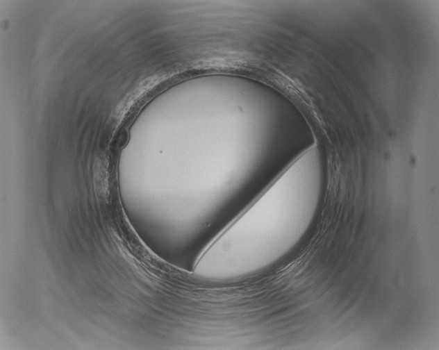 X0000054390204200507290815