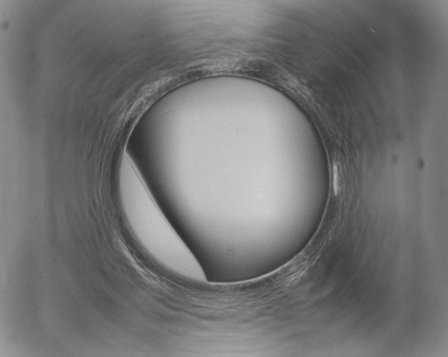 X0000054390205200507290815