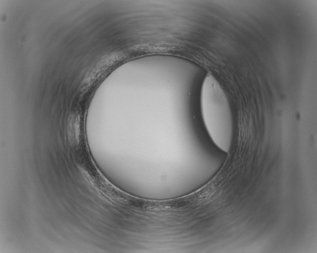 X0000054390206200507290815
