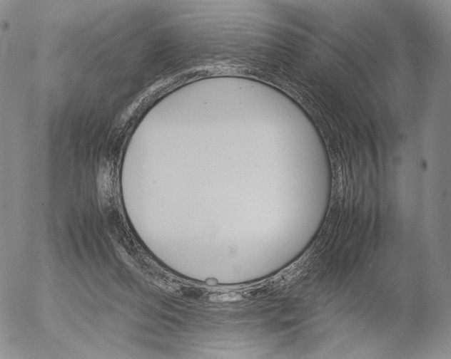 X0000054390208200507290814
