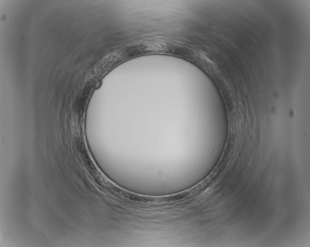X0000054390213200507290814