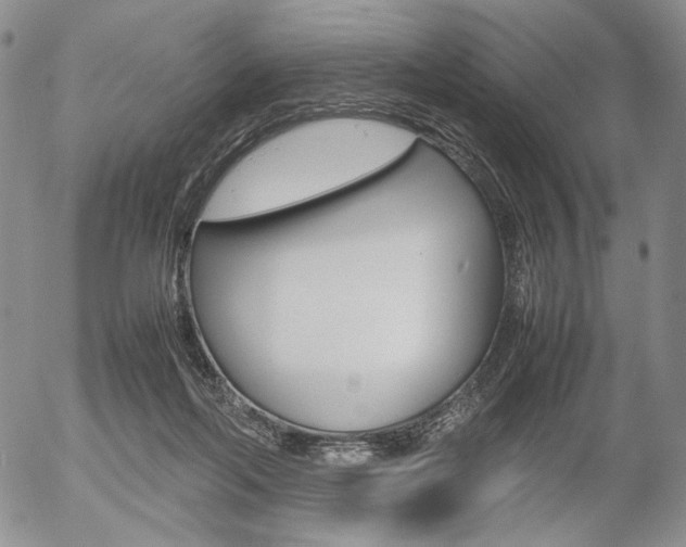 X0000054390214200507290814