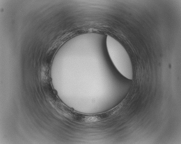 X0000054390218200507290814