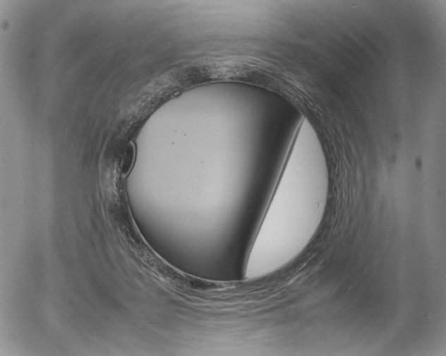 X0000054390219200507290814