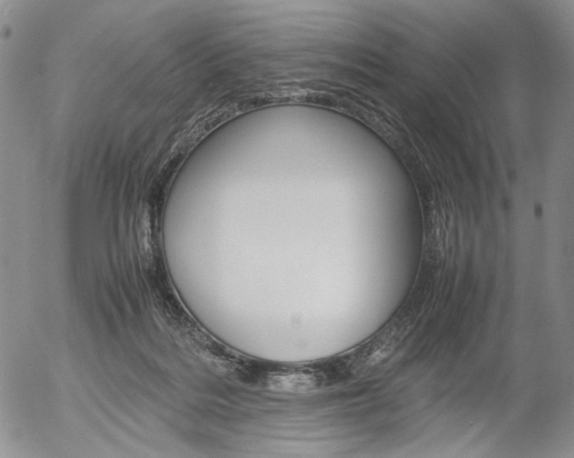 X0000054390220200507290814
