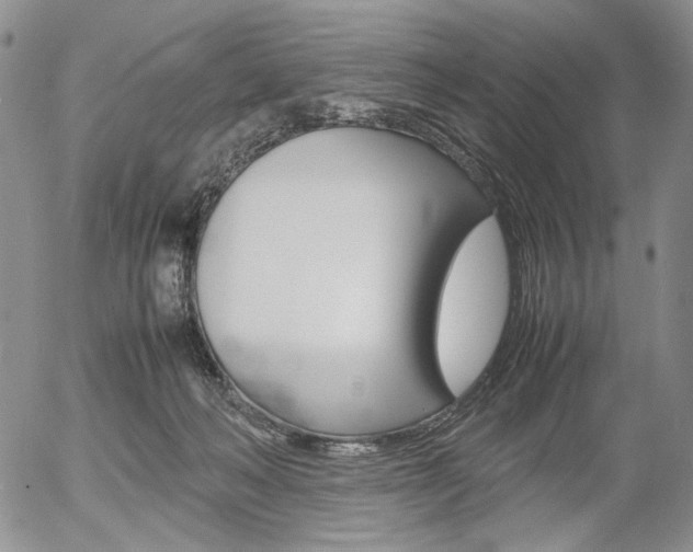 X0000054390222200507290814