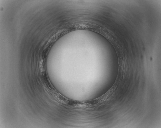 X0000054390224200507290814