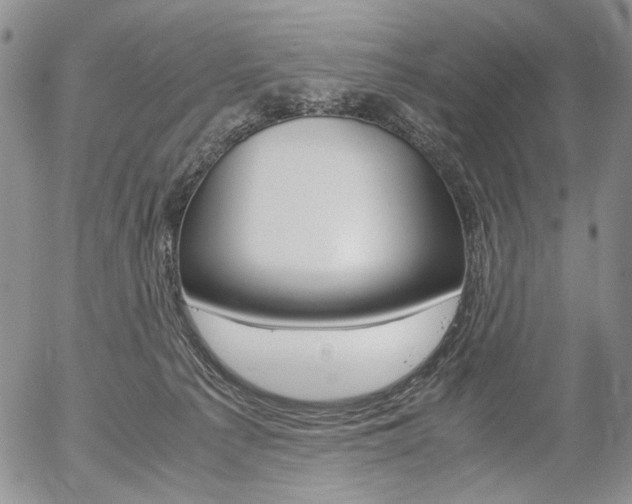 X0000054390225200507290814