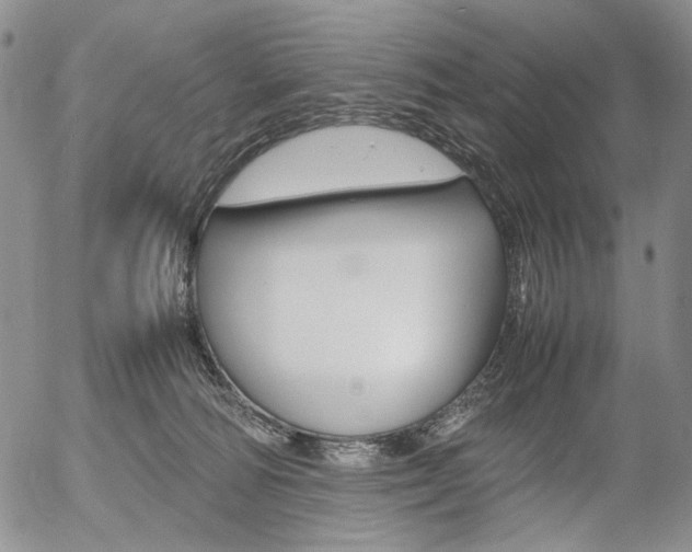 X0000054390226200507290814