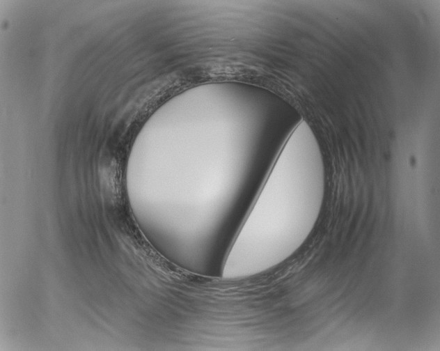 X0000054390228200507290814