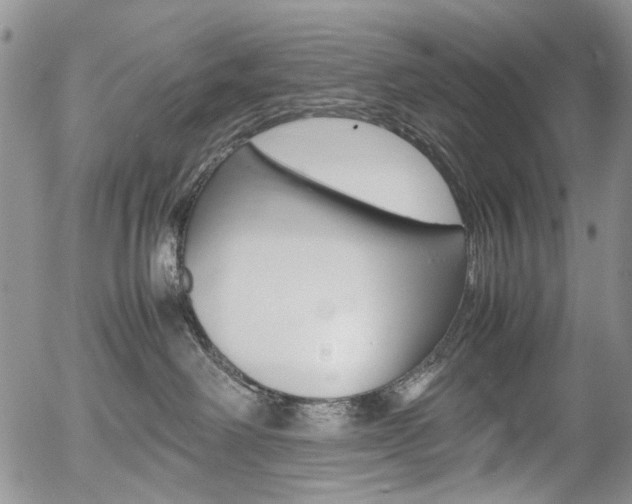 X0000054390238200507290814