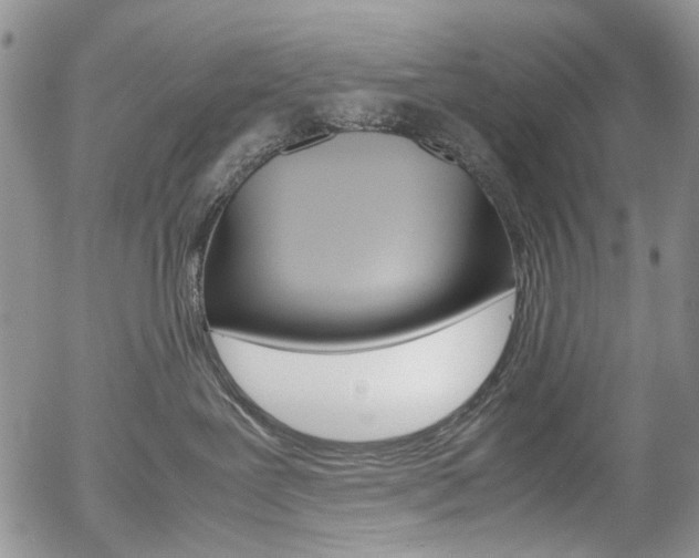 X0000054390239200507290814