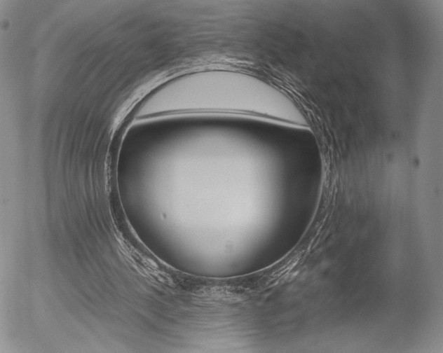X0000054390244200507290813