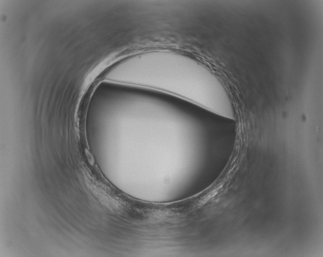 X0000054390246200507290813