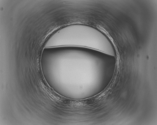 X0000054390249200507290813