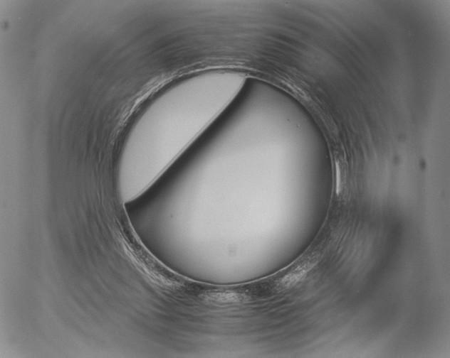 X0000054390253200507290813