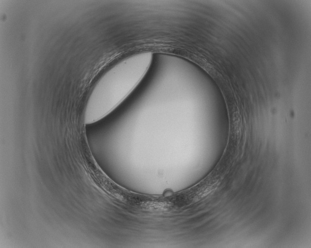 X0000054390255200507290813
