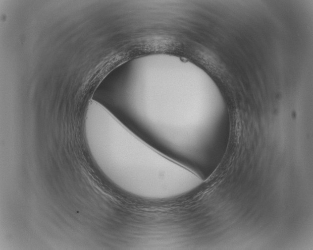 X0000054390258200507290813