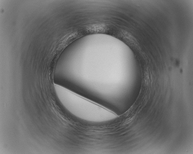 X0000054390259200507290813
