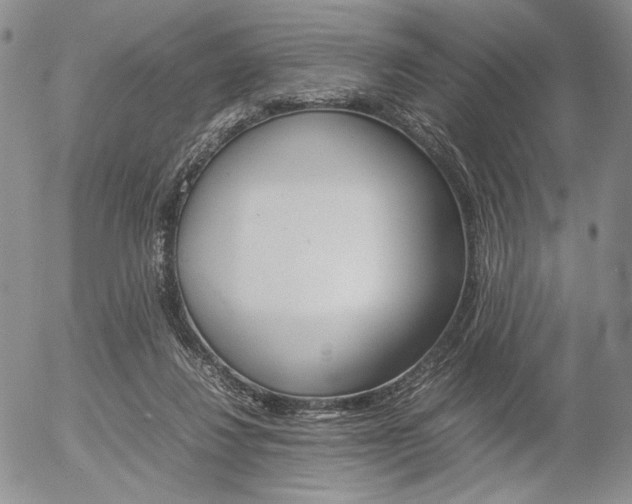 X0000054390260200507290814