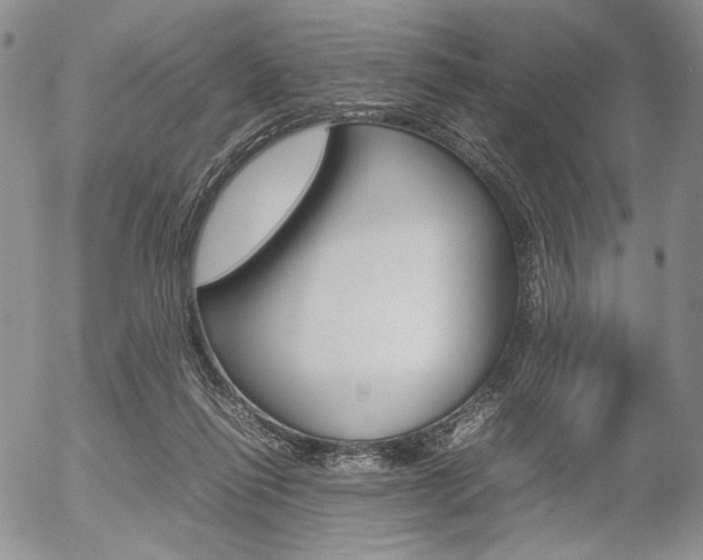 X0000054390262200507290814