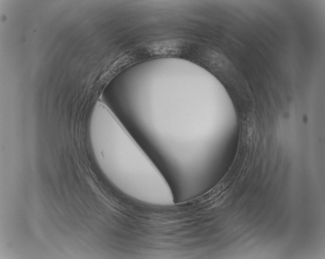 X0000054390263200507290814