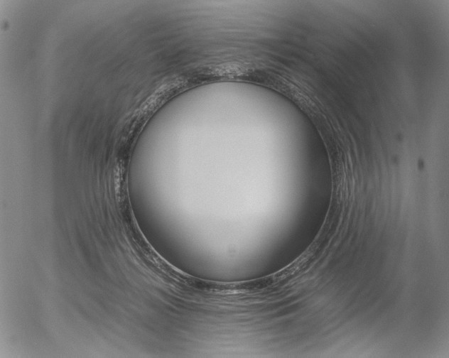 X0000054390268200507290814