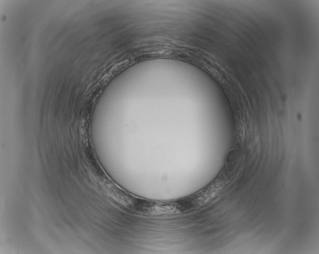 X0000054390270200507290814