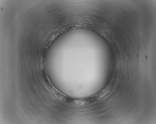 X0000054390272200507290814