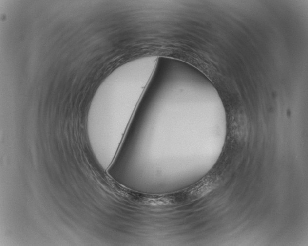 X0000054390275200507290814