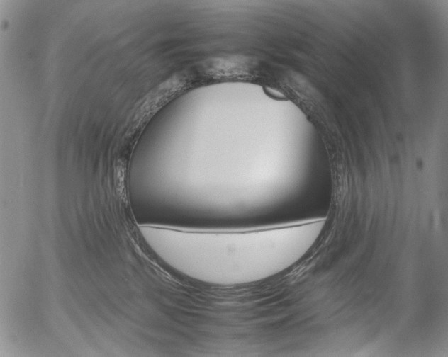 X0000054390281200507290814
