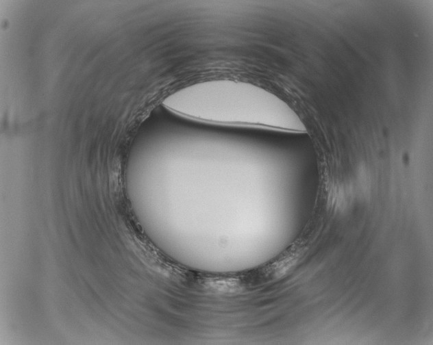 X0000054390283200507290814