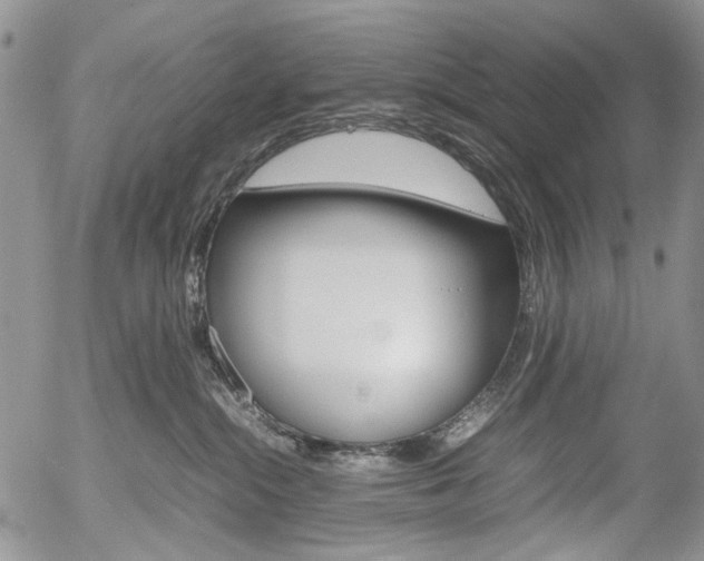 X0000054390284200507290814