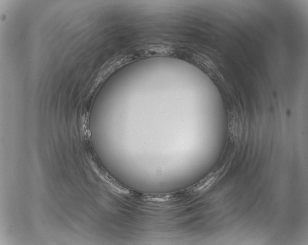 X0000054390285200507290814