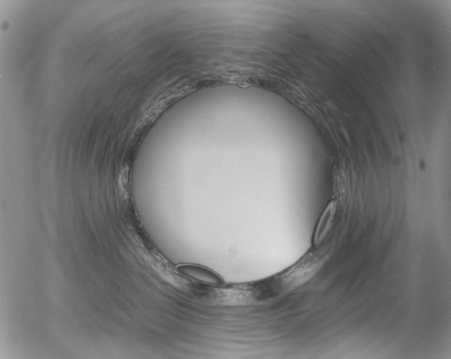 X0000054390286200507290814