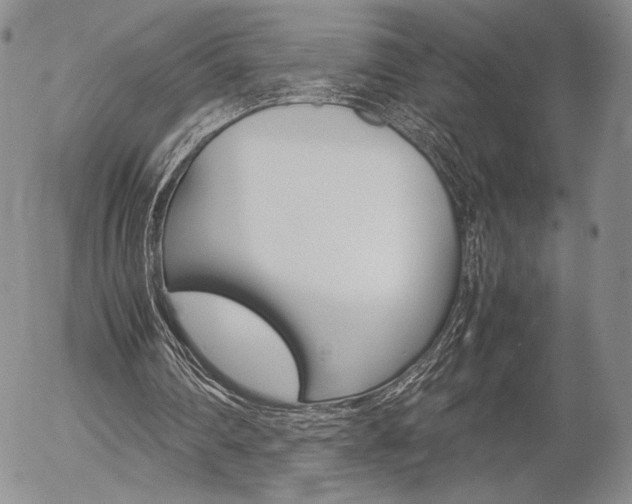 X0000054390290200507290813