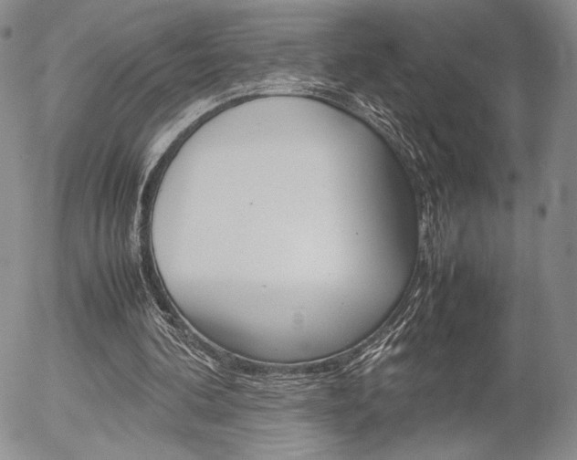X0000054390292200507290813