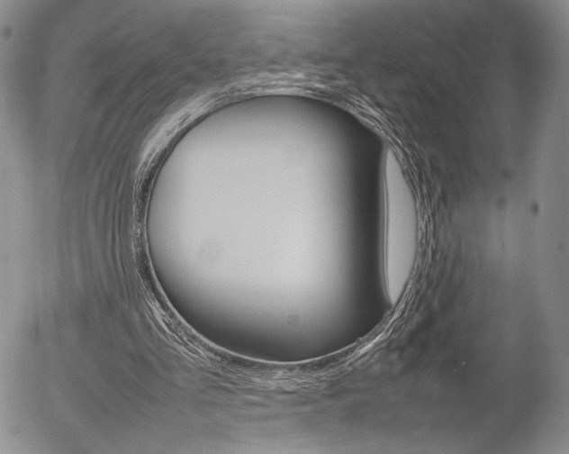 X0000054390293200507290813
