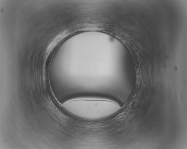 X0000054390296200507290813